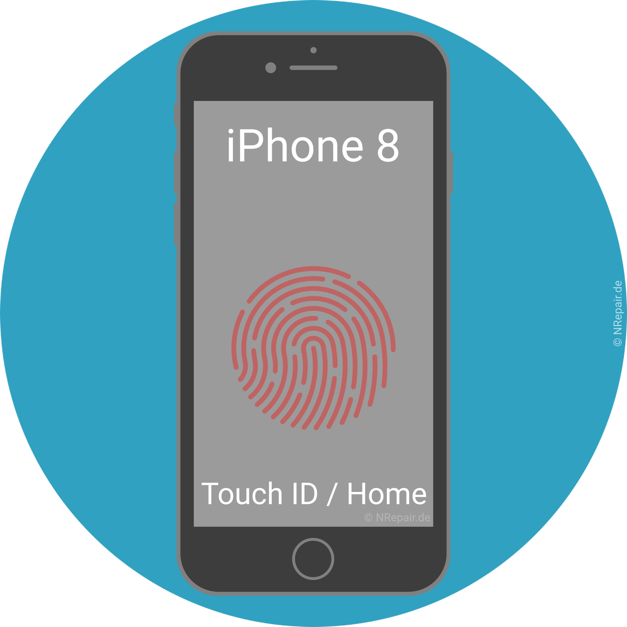 iPhone 8 - Homebutton Reparatur