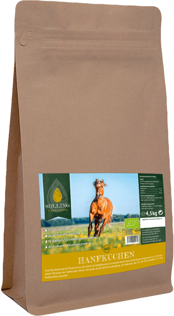 Hanfkuchen 4,5 kg