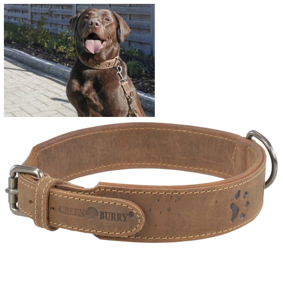 Starkes Hunde-Halsband für sehr große Hunde aus Leder in antikbraun | Greenburry. Die maximale Reißfestigkeit für Ihren kontrollierten Alltag.