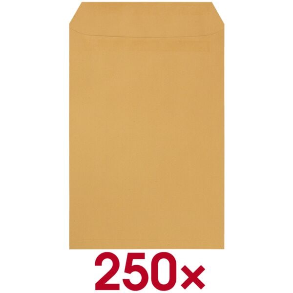 Steinmetz 250 Natron-Versandtaschen C4 mit Fenster, Selbstklebung braun, 32.4x22.9 cm