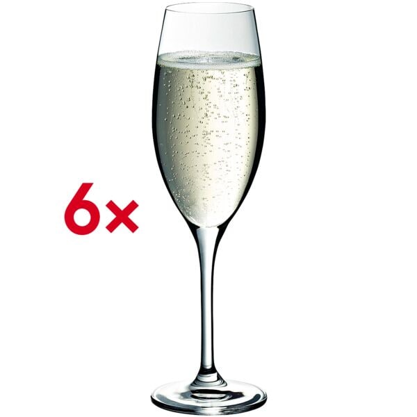 WMF 6er-Set Champagnerkelche »easy Plus« 250 ml weiß, 14 cm