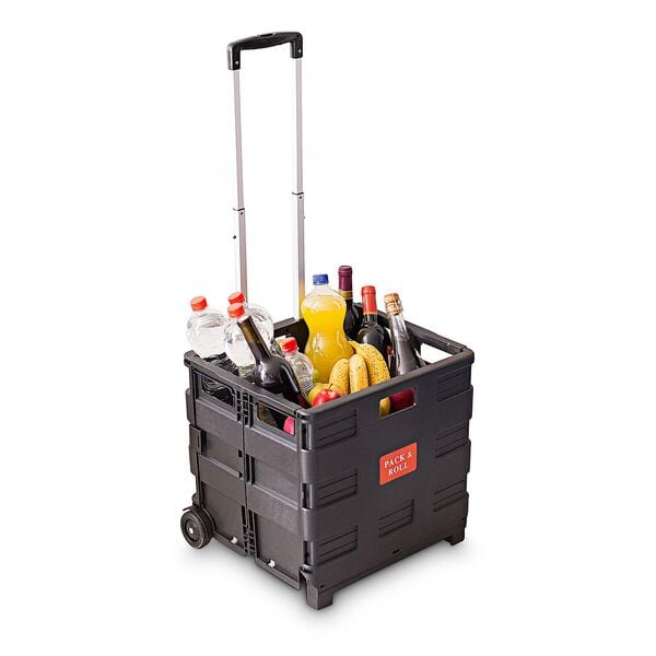 relaxdays Einkaufstrolley klappbar bis 35 kg schwarz