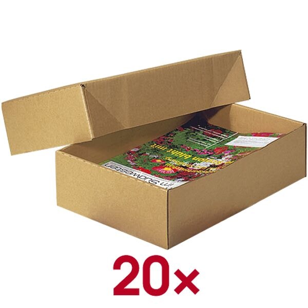 Nestler 20 Kartons mit abnehmbarem Deckel - 33.8 x 23.8 x 9.2 cm, 33.8x9.2x23.8 cm