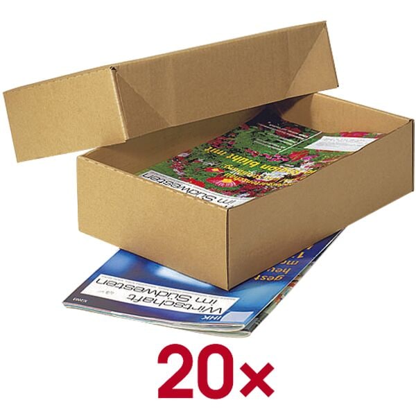 Nestler 20 Kartons mit abnehmbarem Deckel - 33.8 x 23.8 x 16.7 cm, 33.8x16.7x23.8 cm