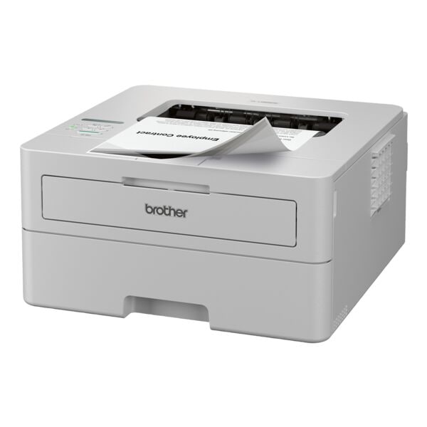 Brother SW-Laserdrucker »HL-L2865DW« grau, 35.6x18.3x36 cm