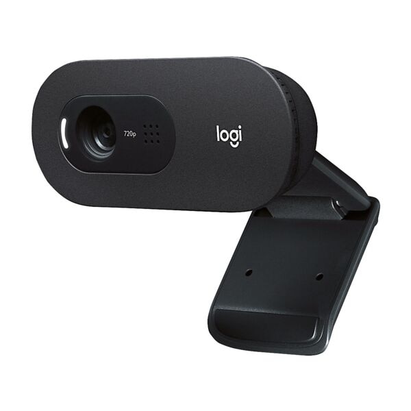 Logitech Business-Webcam »C505e«, 7.3x3.2x6.7 cm