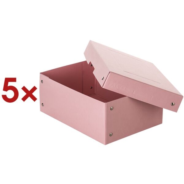 Falken Archiv-Box »PURE Box rosa DIN A5 100mm« 5 Stück rosa, 18x10x25 cm