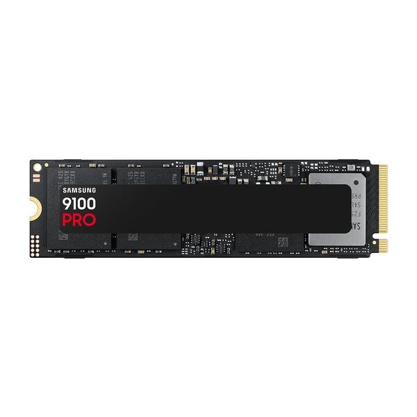 Samsung Interne Festplatte »9100 PRO« 2 TB