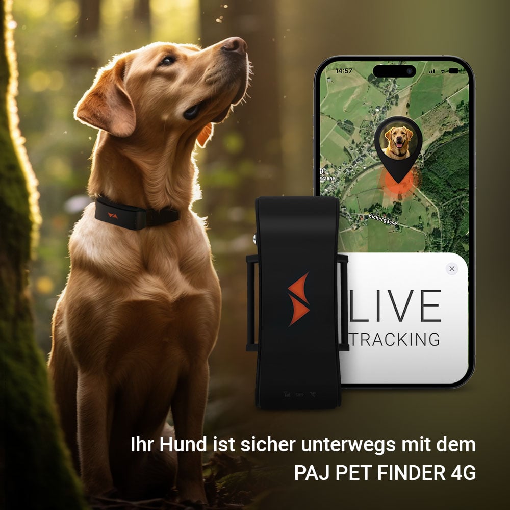 PAJ Hunde GPS Tracker 2024. PAJ PET Finder 4G. Weltweite Echtzeit-Ortung. Weglauf-Alarm. Optimale Sicherheit für Ihren Hund.