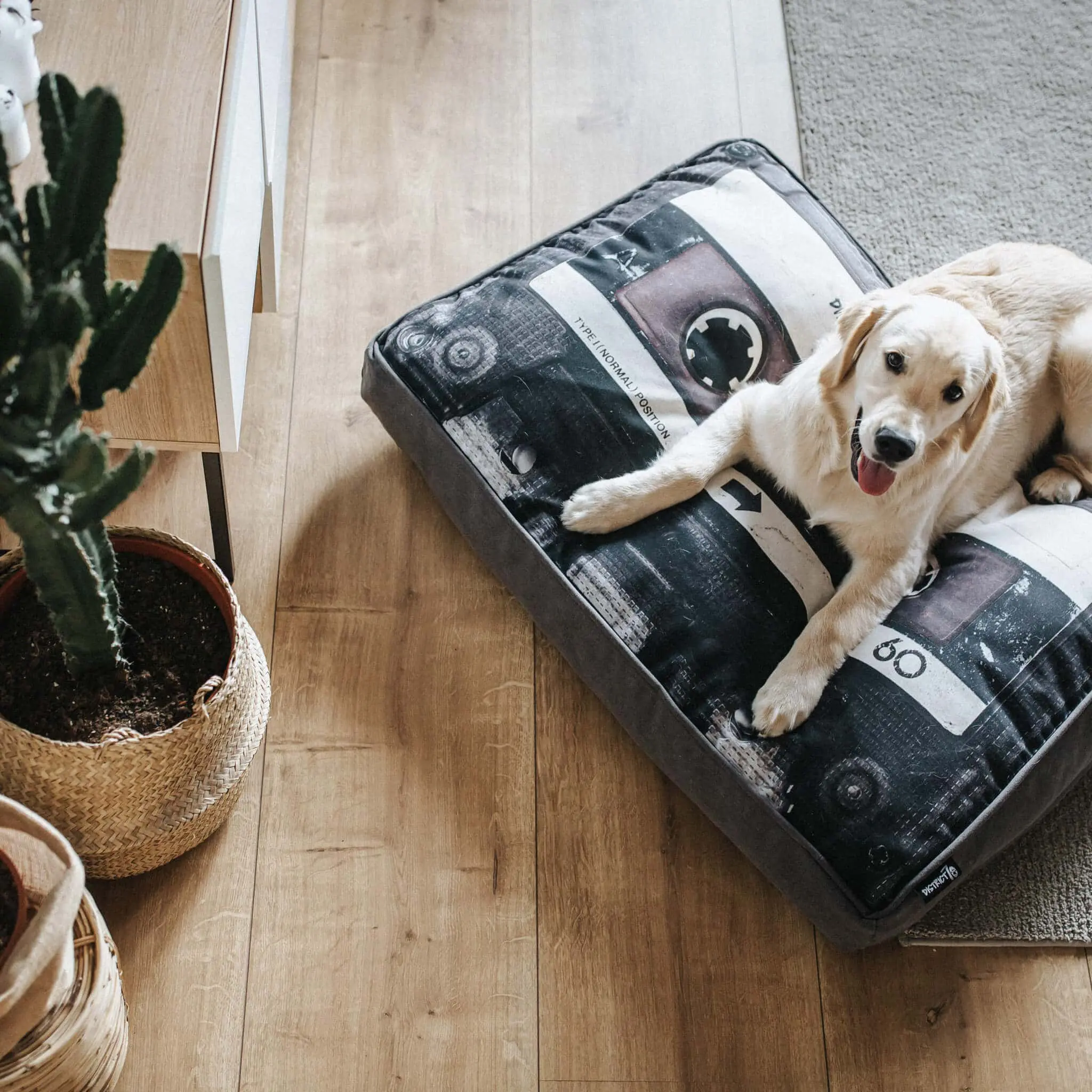 District 70 MIXTAPE Hundekissen