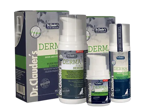 Dr Clauder Ergänzungsfuttermittel für Hund Hair & Skin - Derma Plus Forte - 100ml