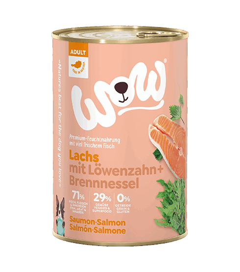 WOW Nassfutter für Hunde ADULT LACHS MIT LÖWENZAHN