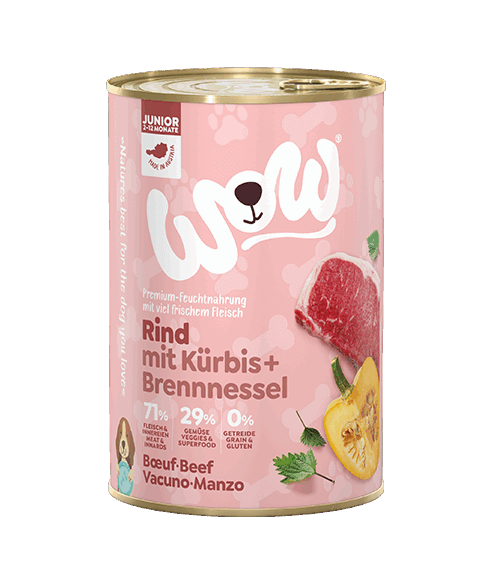 WOW Nassfutter für Hunde JUNIOR RIND MIT KÜRBIS - 800g