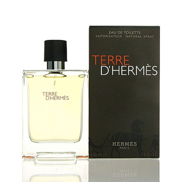 Herm?s Terre D?Herm?s Eau de Toilette Spray 100 ml