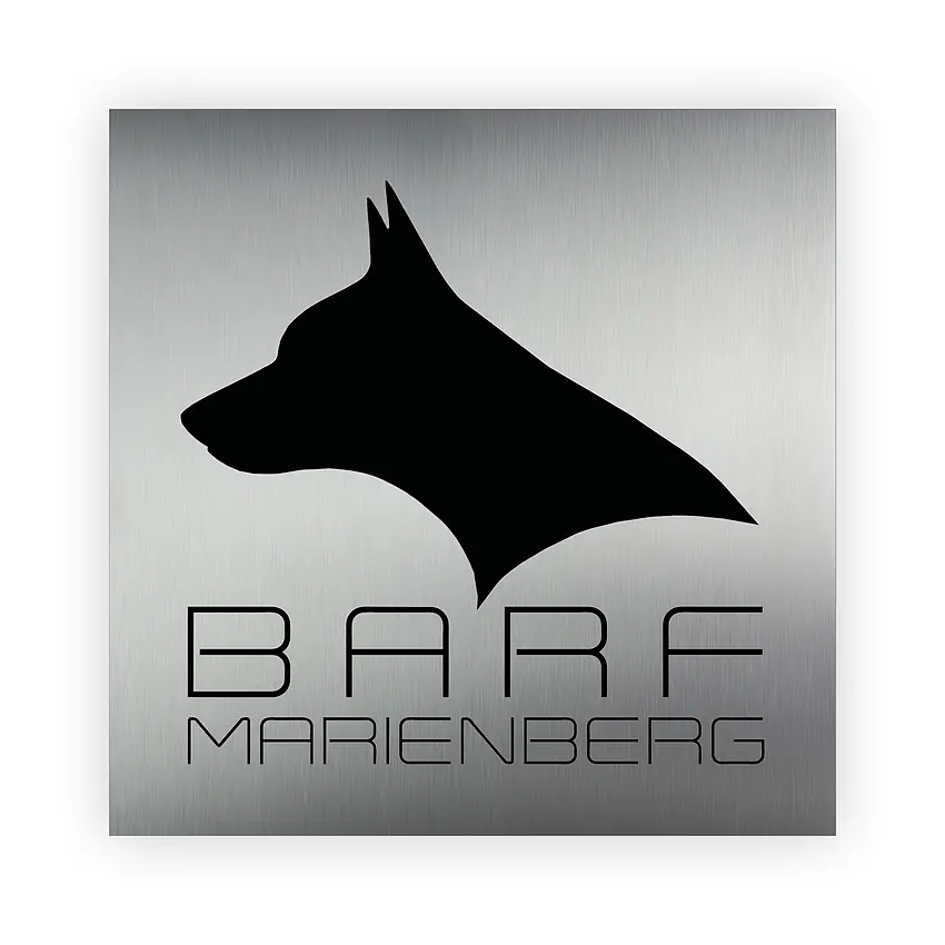 Firmenlogo aus Edelstahl mit Acryl und Farbe zur Auswahl 50 x 50 cm