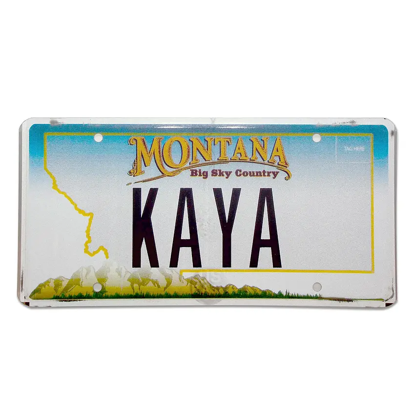 US Kennzeichen Montana