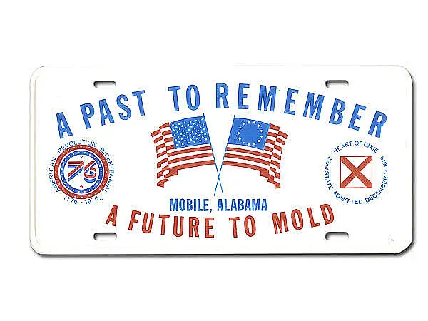 US Deko Nummernschild - A past to remember 30 x 15 cm