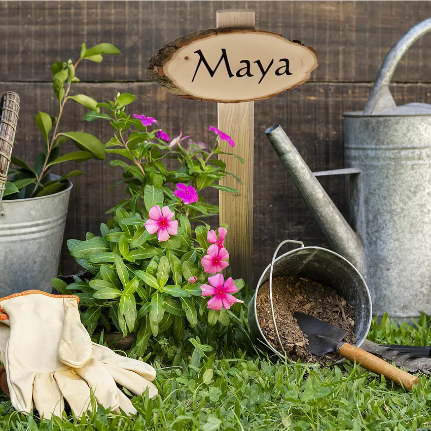 Grabmal aus Holz für Haustiere