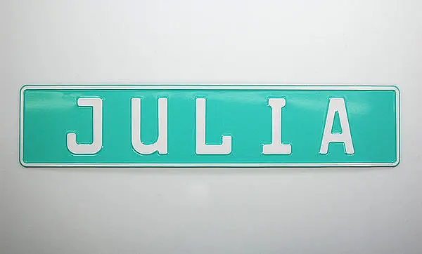 Individuelles Kennzeichen mit Wunschname und Symbol mint