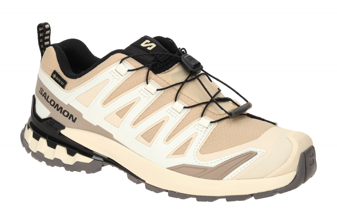Salomon XA PRO 3D V9 GTX 478176 beige - Sportschuhe f?r Damen