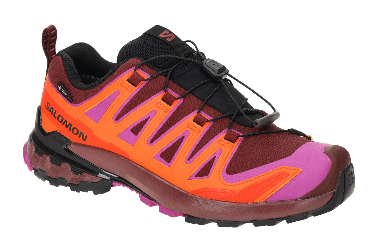 Salomon XA PRO 3D V9 GTX 479619 bordo - Sportschuhe f?r Damen