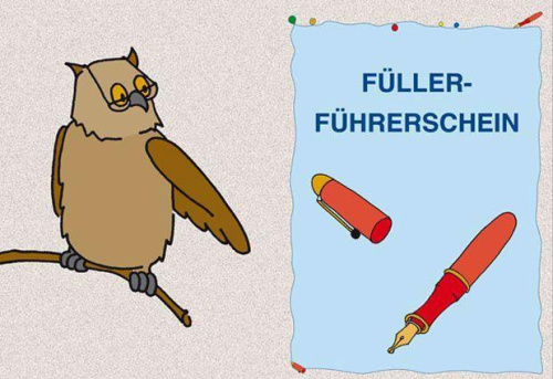 Roessler, J: Füller-Führerschein - Klassensatz Führerscheine