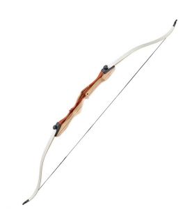 Recurvebogen Wildcat Plus ideal für Einsteiger