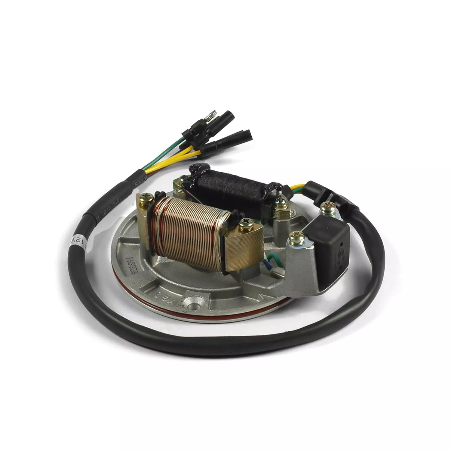 Stator Zündung mit Licht Pit Bike / Dirt Bike Enduro