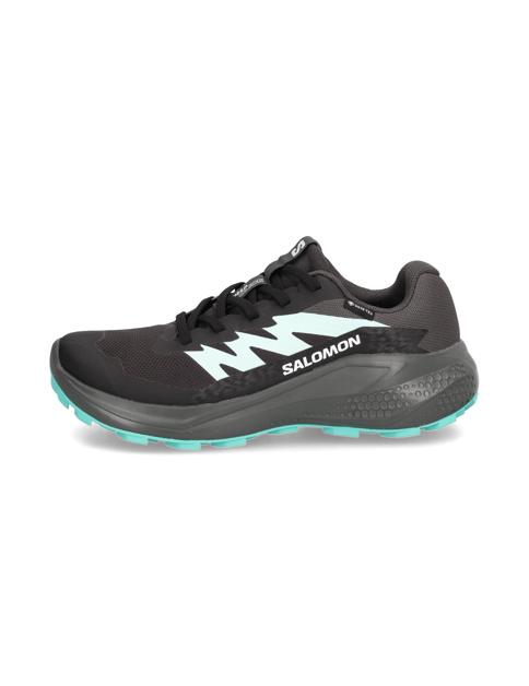Salomon ALPHAGLIDE GTX W