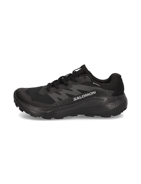 Salomon ALPHAGLIDE GTX