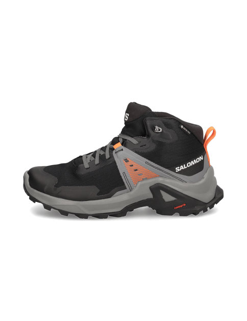 Salomon RAISE MID GTX