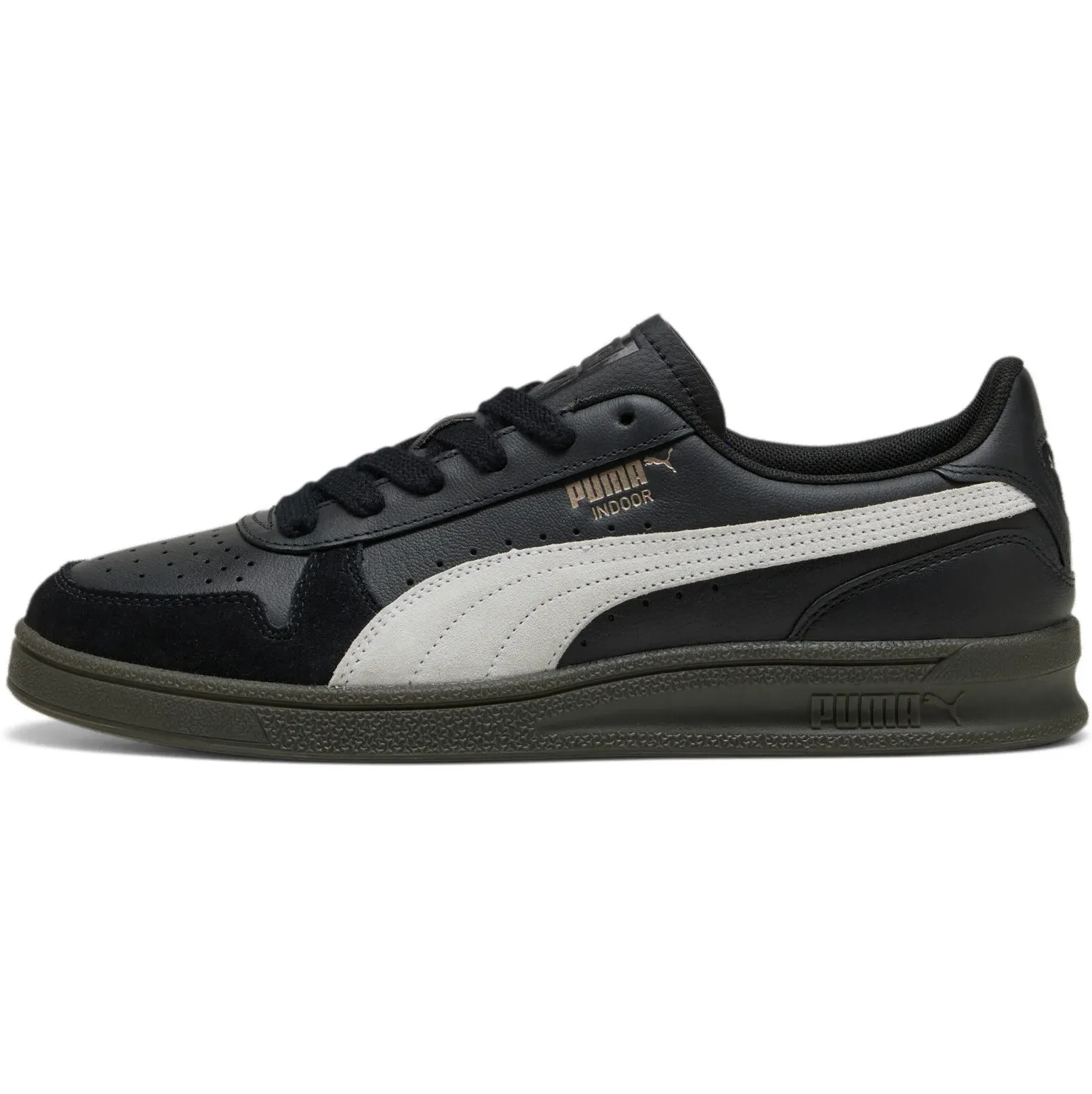 Puma Indoor