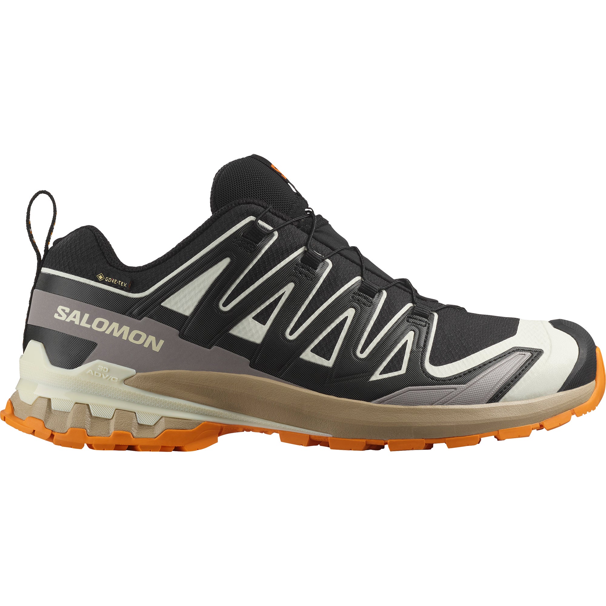 Salomon XA PRO 3D V9 GTX