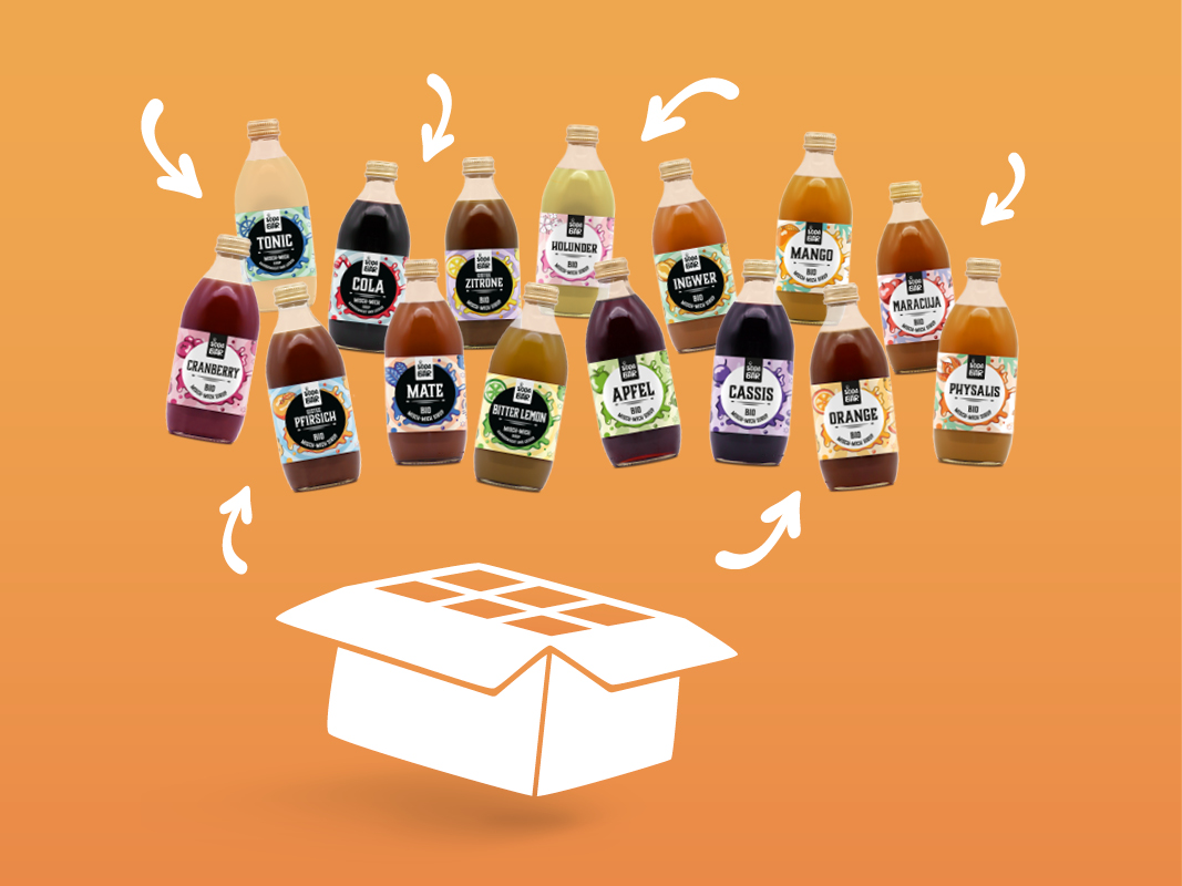 48er - Misch-Mich-Mix Sirup Box (6 Sorten)