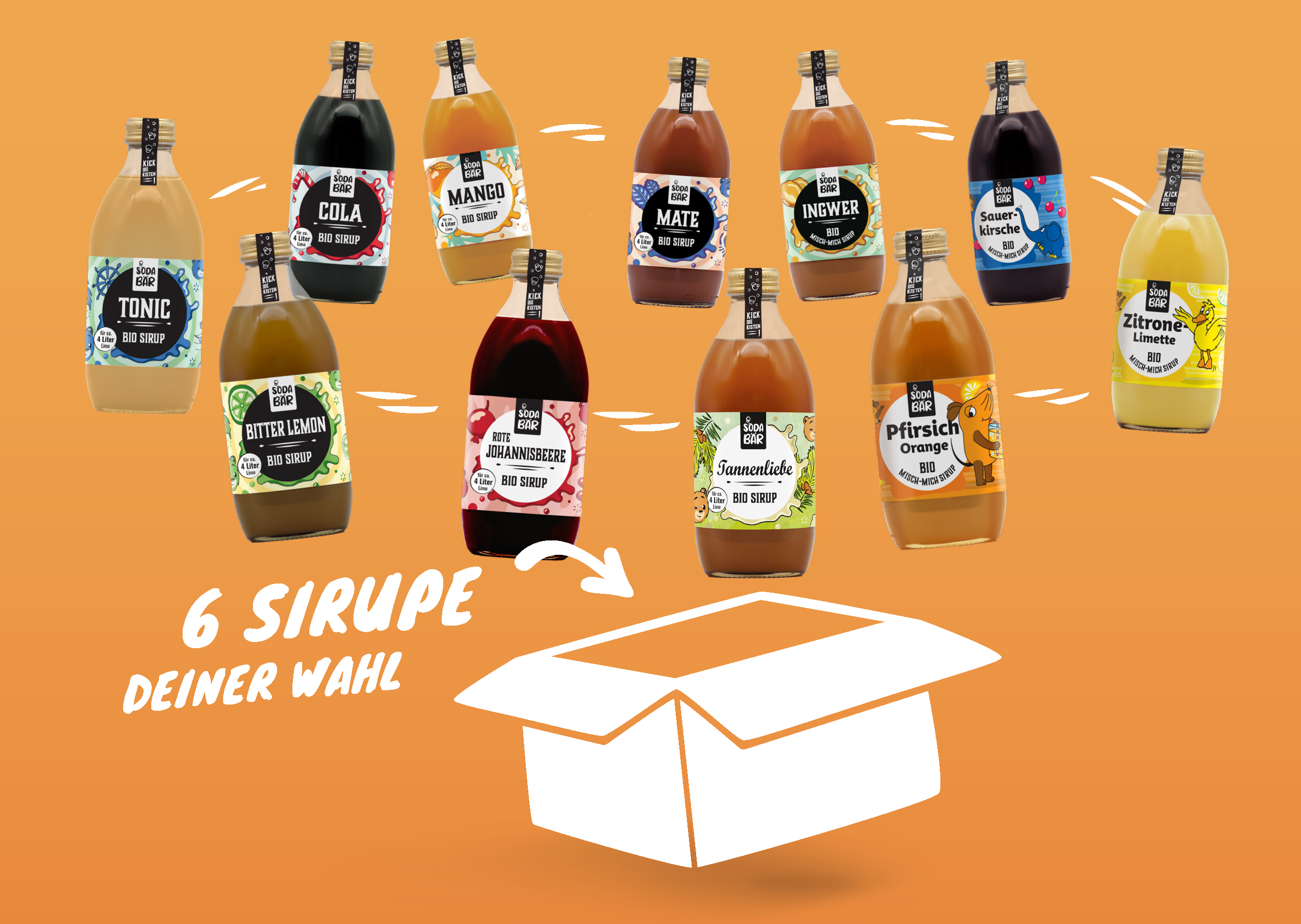 Sirup Misch-Mich-Mix 6er Box