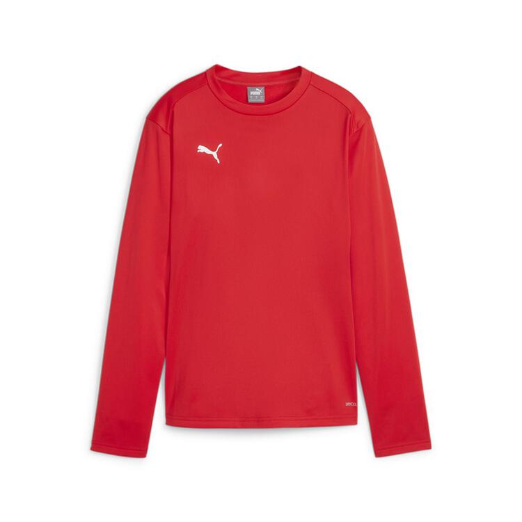Puma teamGOAL Training Sweat Damen 658652