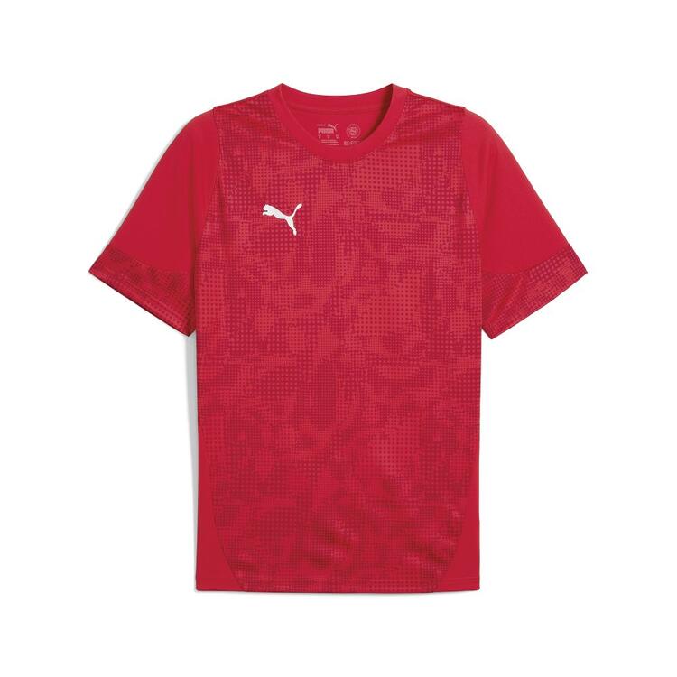     Puma TeamCUP Training Trikot 659167  