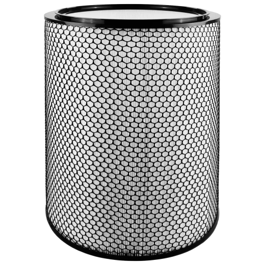 Filter HEPA für Dyson BP03 BP04 BP06 Big+Quiet Formaldehyde Luftreiniger 972132-01 kompatibel