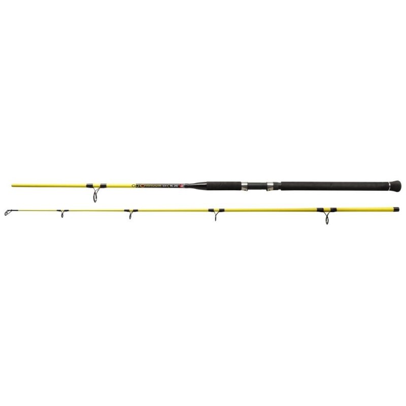 DEGA Continuum Sea ML Ostsee Angelrute 2,4m 50-150g