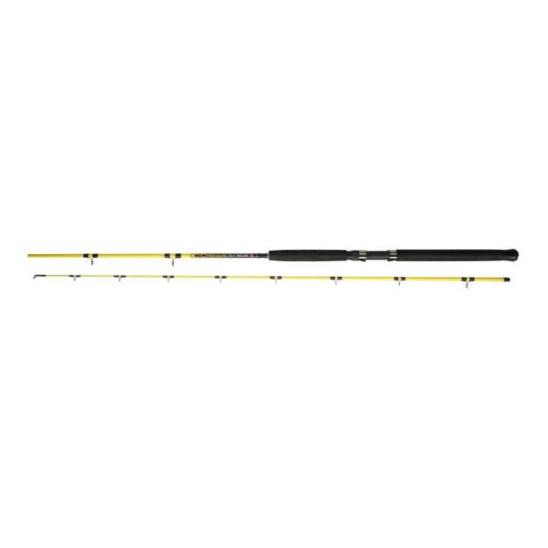 DEGA Continuum Trolling Angelrute 2,4m 15-25lb