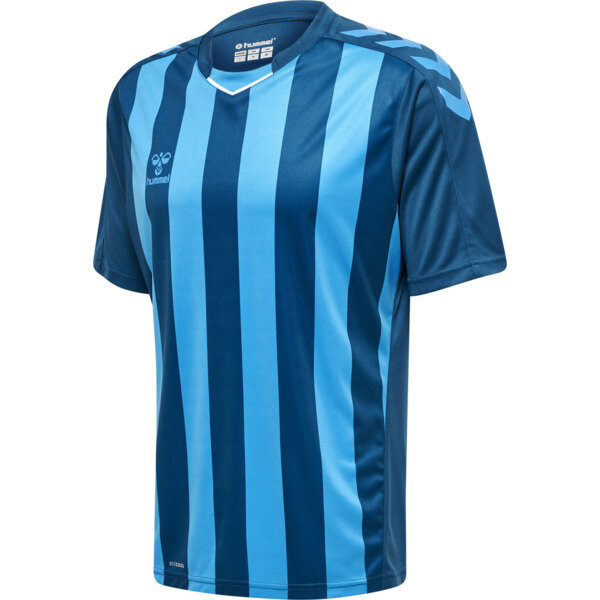 Hummel hmlCore XK Striped Trikot Herren BLUE CORAL/BLUE DANUBE XL