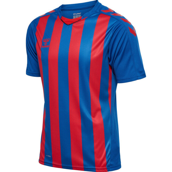 Hummel hmlCore XK Striped Trikot Herren TRUE BLUE/TRUE RED S
