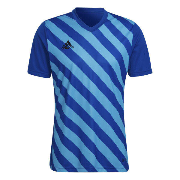 adidas ENT22 GFX JSY HF0116