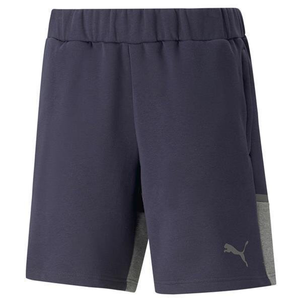 Puma TeamCup 23 Casuals Jogging Shorts parisian night XXL