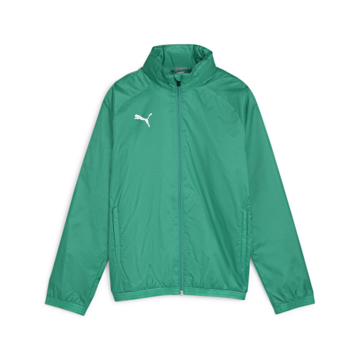Puma team Goal Allweather Jacket Kinder sport green-puma white 164