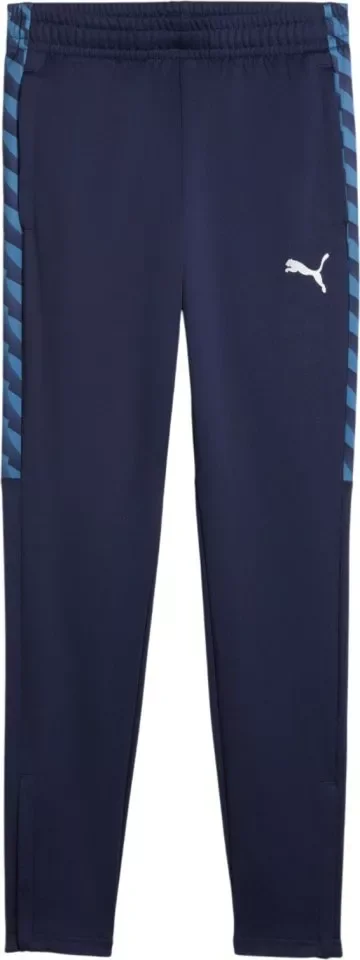 Puma TEAMLIGA 26 Training Pants Kinder puma navy-puma white-blue horizon 152