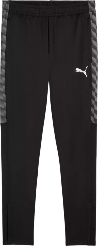 Puma teamLIGA26 Training Pants Erwachsene puma black-puma white-flat dark gray XL