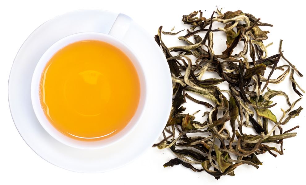 Nepal Buddhibal's Best Bio