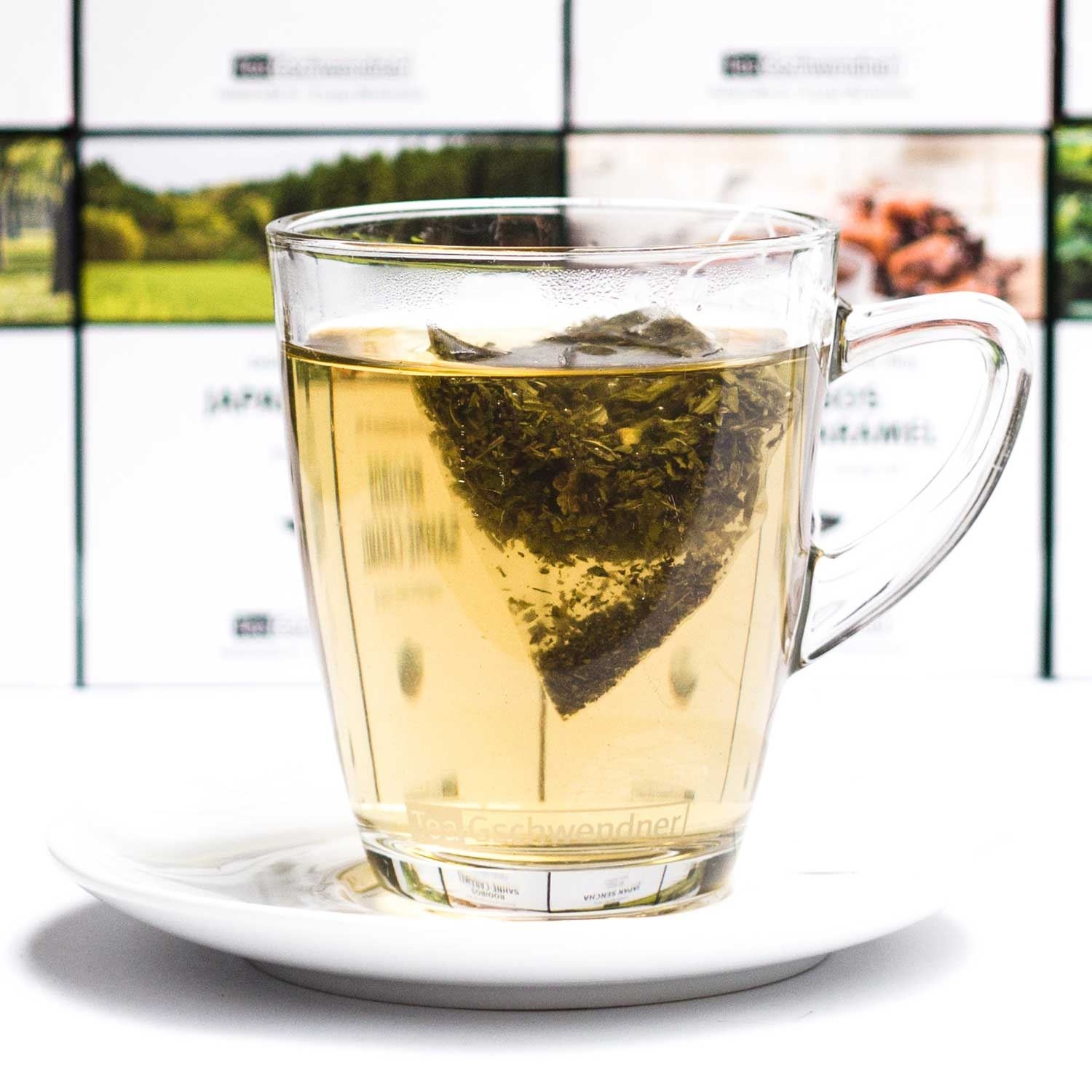 Pfefferminze Bio (MasterBag® Pyramid)