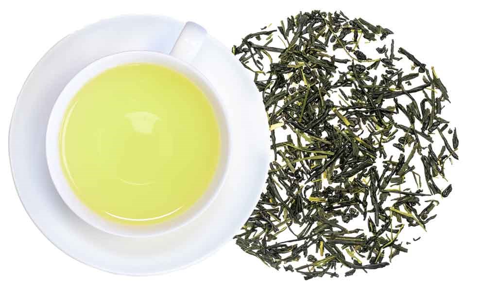 Japan Shincha Signature Roast Bio